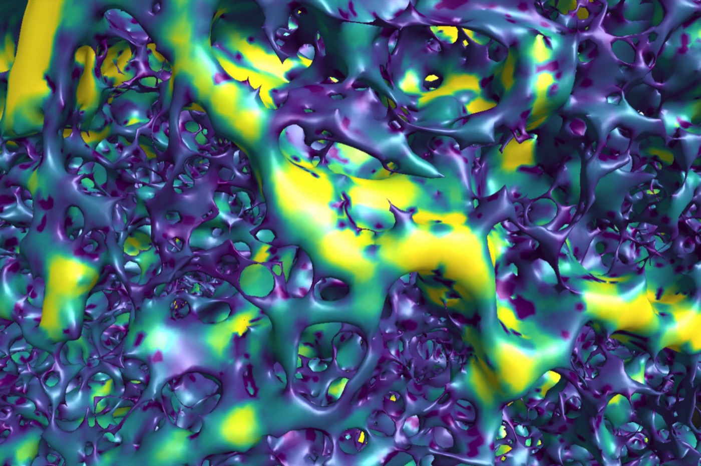 Micro-CT render of a soil pore network